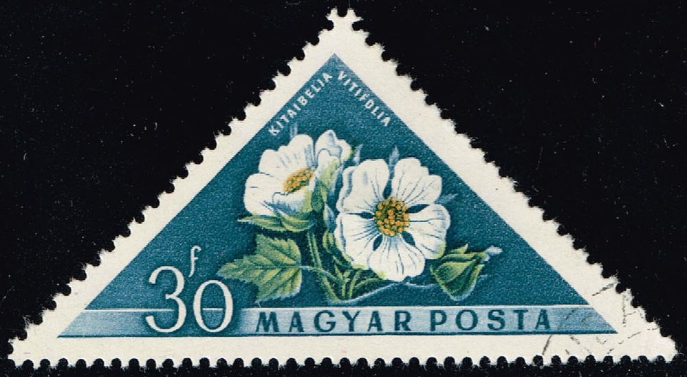 Hungary #1196 Russian Hibiscus; CTO - Click Image to Close