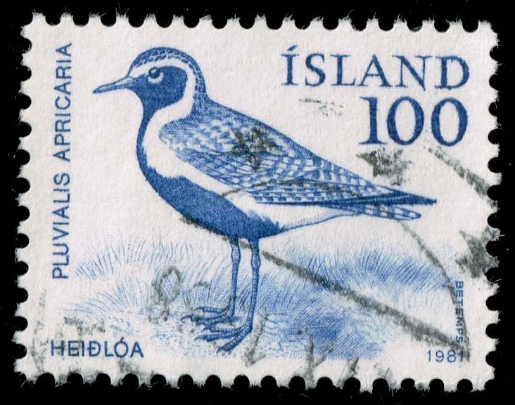 Iceland #544 Golden Plover Bird; Used - Click Image to Close
