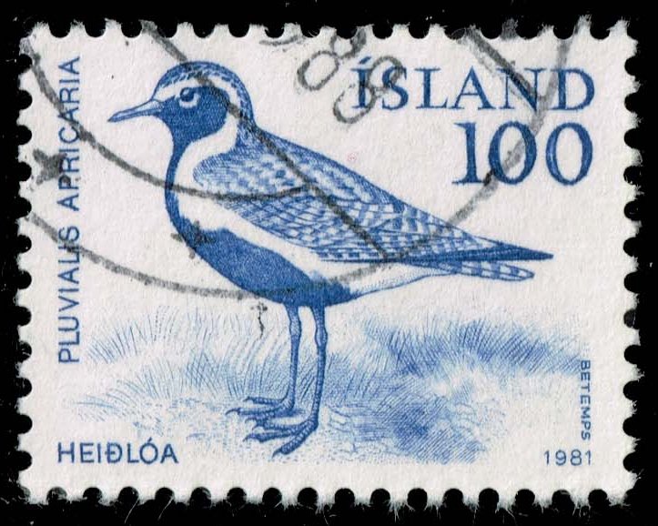 Iceland #544 Golden Plover Bird; Used - Click Image to Close