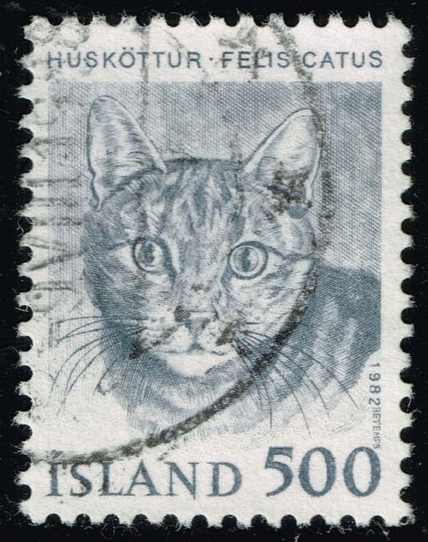 Iceland #558 Cat; Used - Click Image to Close