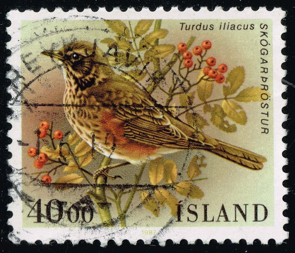 Iceland #643 Redwing Bird; Used - Click Image to Close