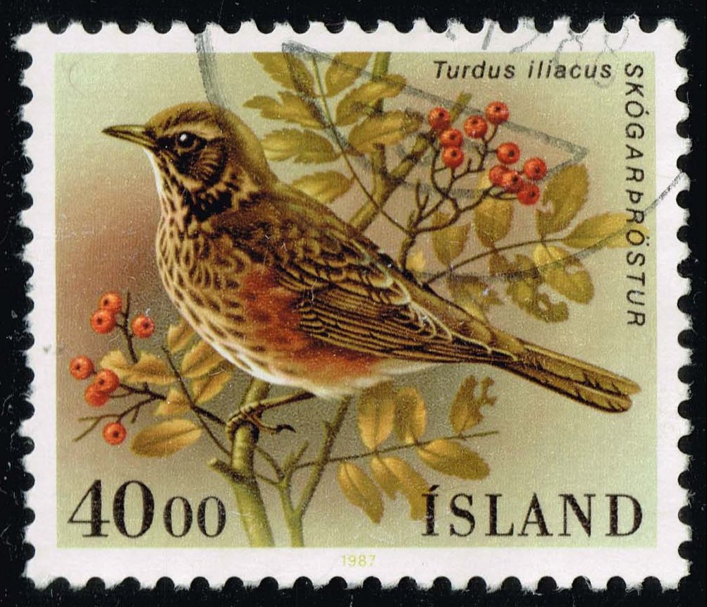 Iceland #643 Redwing Bird; Used
