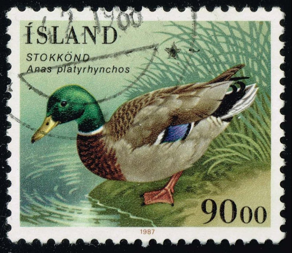 Iceland #645 Mallard Duck; Used