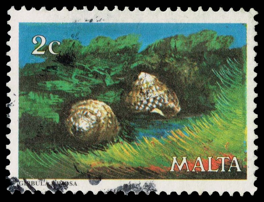 Malta #563 Maltese Top Shell; Used - Click Image to Close