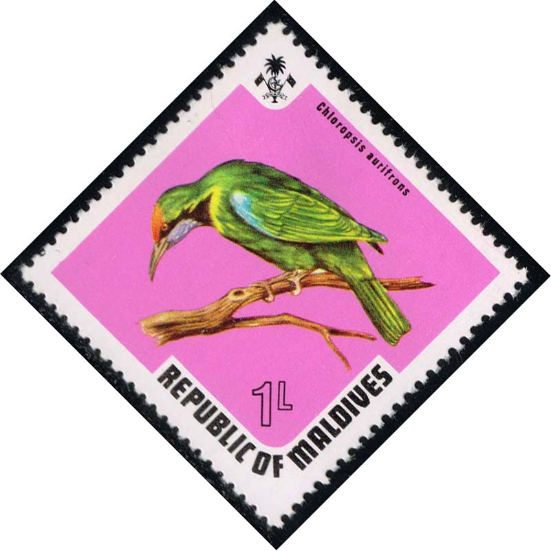 Maldives #447 Goldenfronted Leafbird; Unused - Click Image to Close