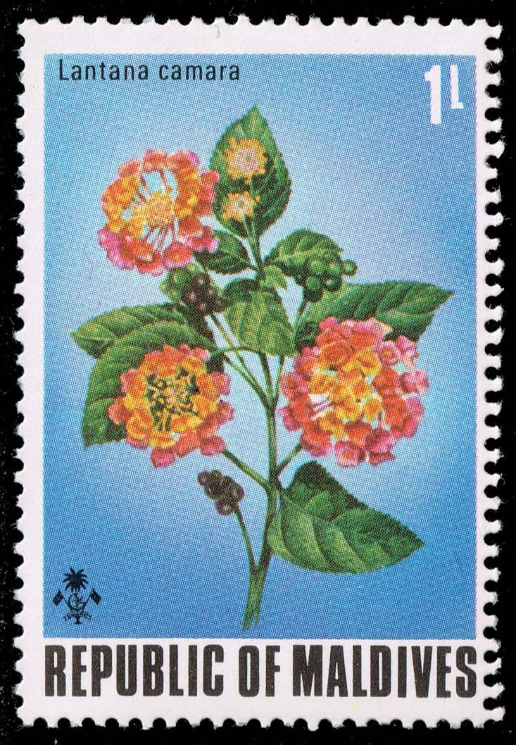 Maldives #455 Spanish Flag Flowers; MNH - Click Image to Close
