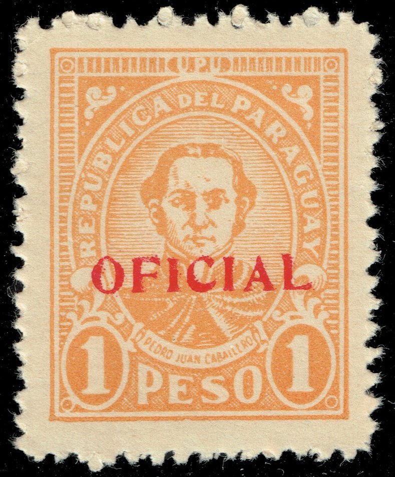 Paraguay #O96 Pedro Juan Caballero; MNH - Click Image to Close
