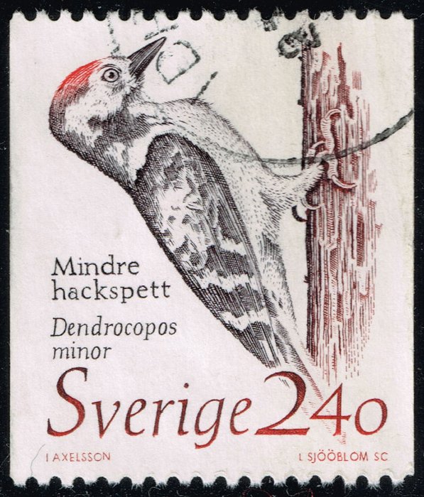Sweden #1725 Lesser Spotted Woodpecker; Used - Click Image to Close