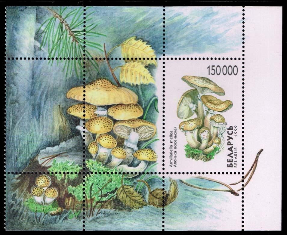 Belarus #320 Honey Fungus Souvenir Sheet; MNH