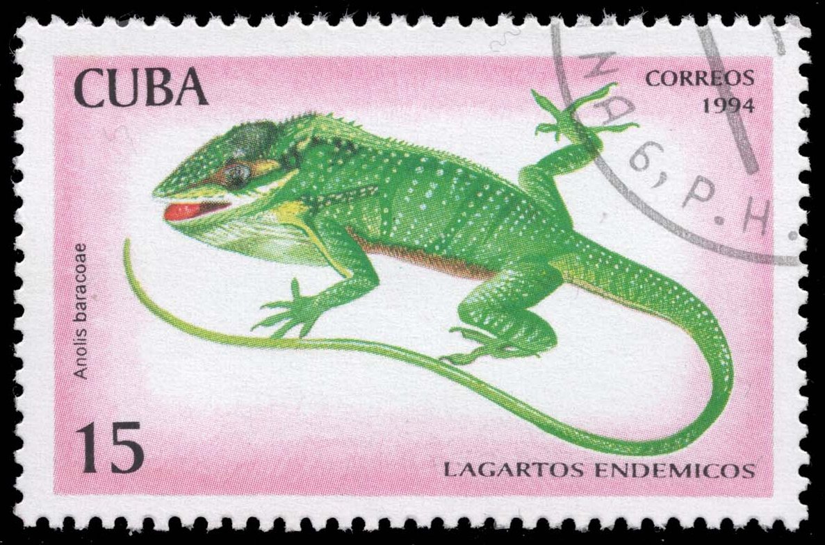 Cuba #3617 Baracoa Anole; CTO