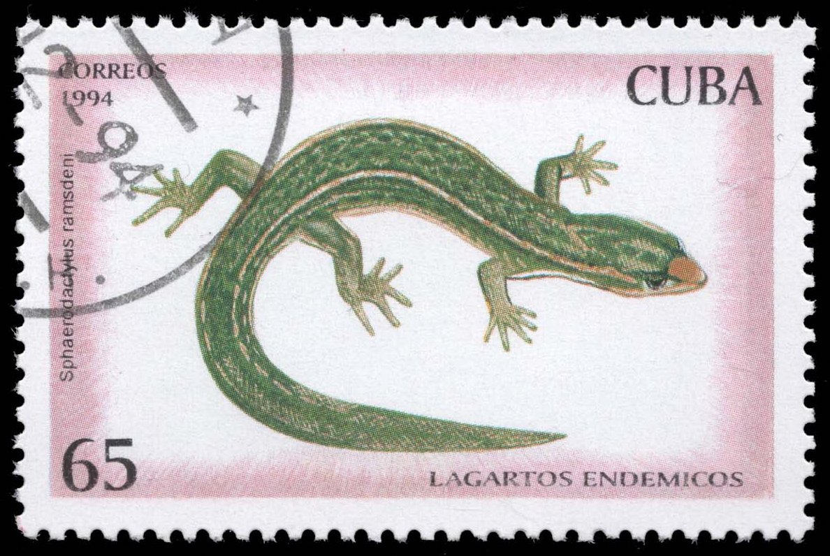 Cuba #3618 Ramsden's Least Gecko; CTO