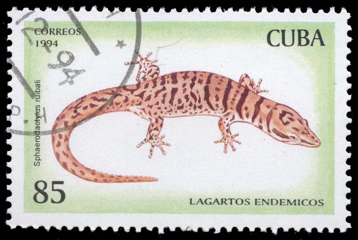 Cuba #3620 Ruibal's Least Gecko; CTO