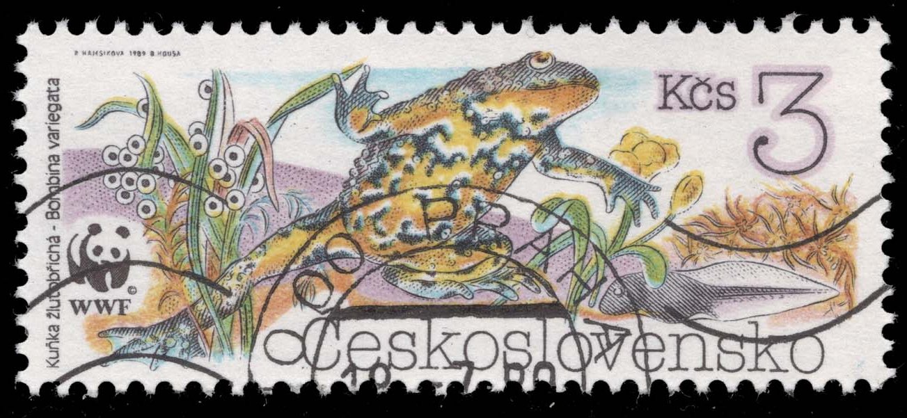 Czechoslovakia #2749 Yellow-bellied Toad; CTO