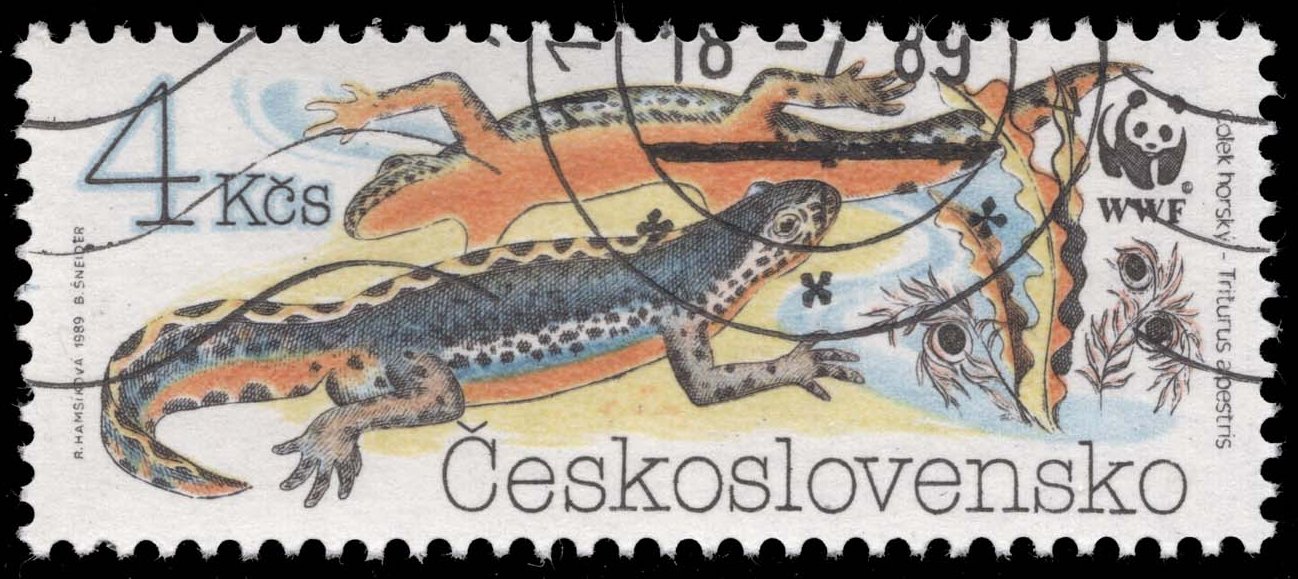 Czechoslovakia #2750 Alpine Newts; CTO