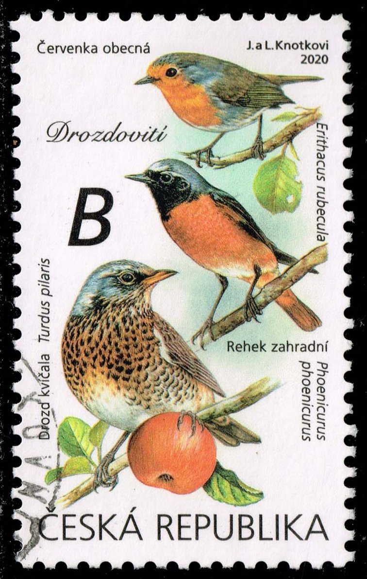 Czech Republic #3833 Turdidae; Used