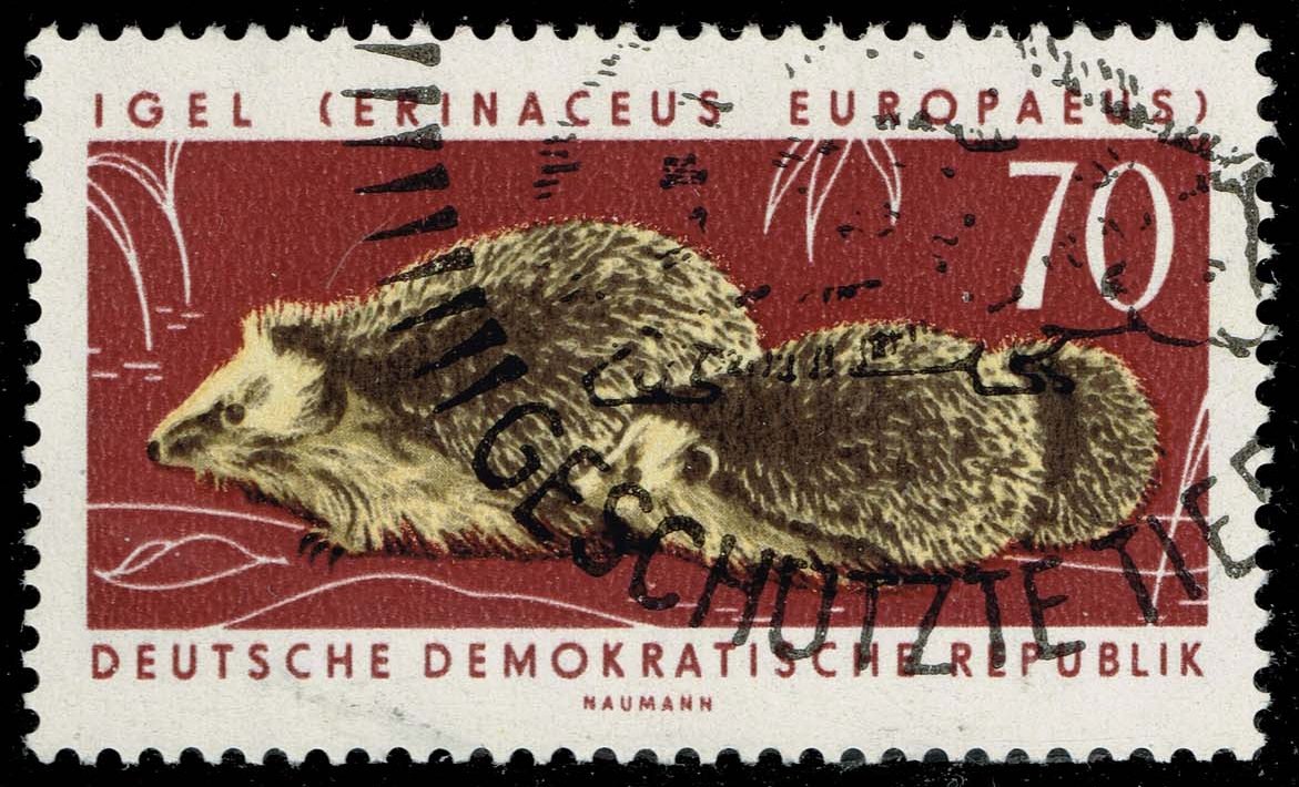 Germany DDR #667 Hedgehogs; CTO - Click Image to Close