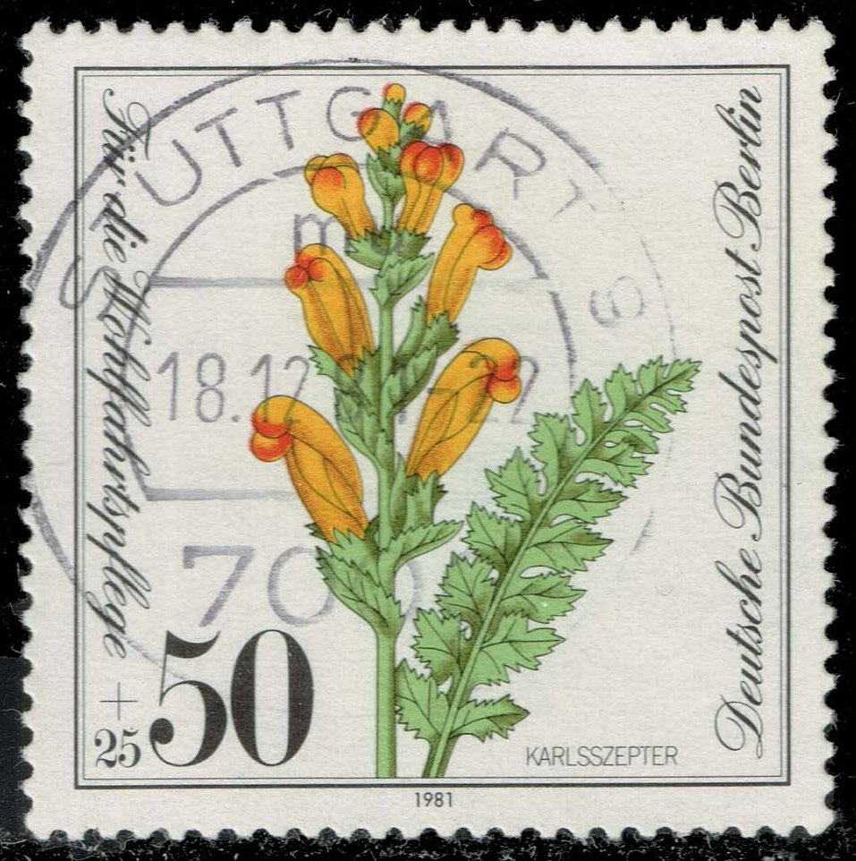 Germany #9NB183 Moor-king Flower; Used