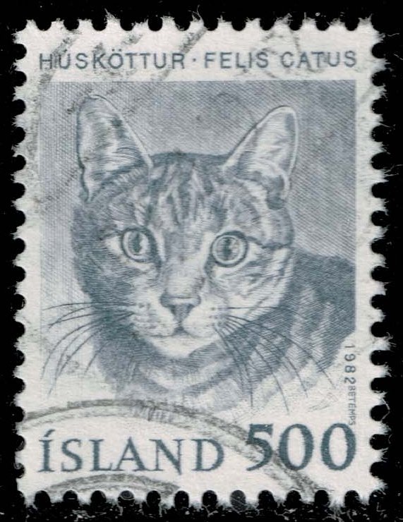 Iceland #558 Cat; Used