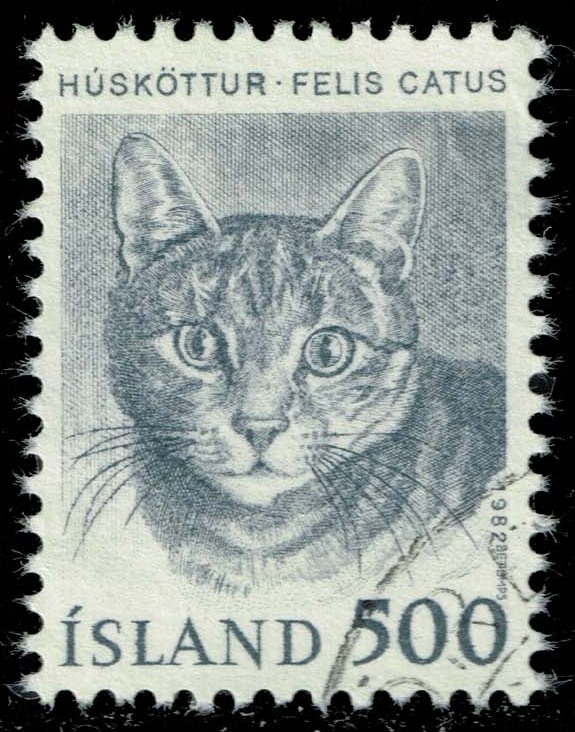 Iceland #558 Cat; Used