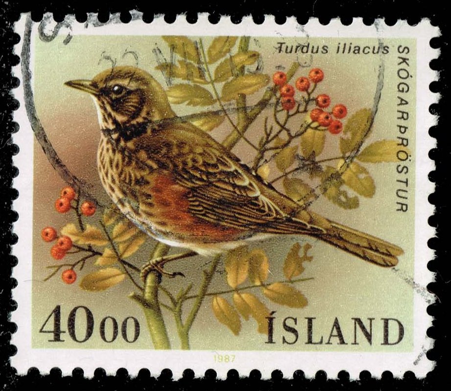 Iceland #643 Redwing Bird; Used