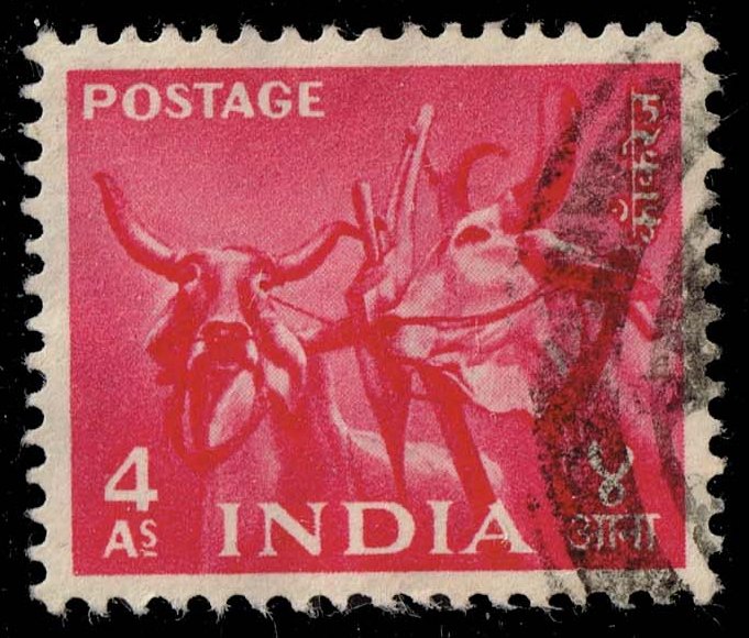 India #260 Bullock Team; Used