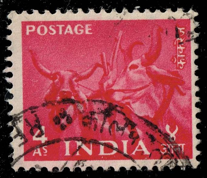 India #260 Bullock Team; Used