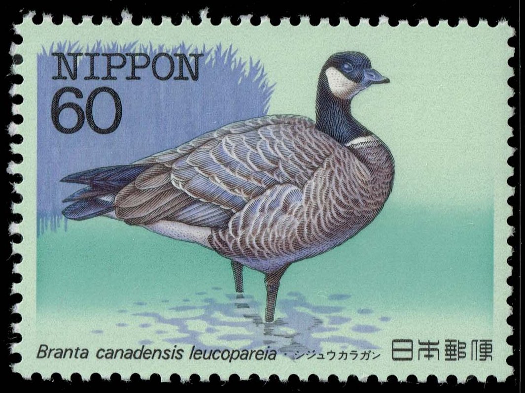 Japan #1537 Aleutian Cackling Goose; MNH