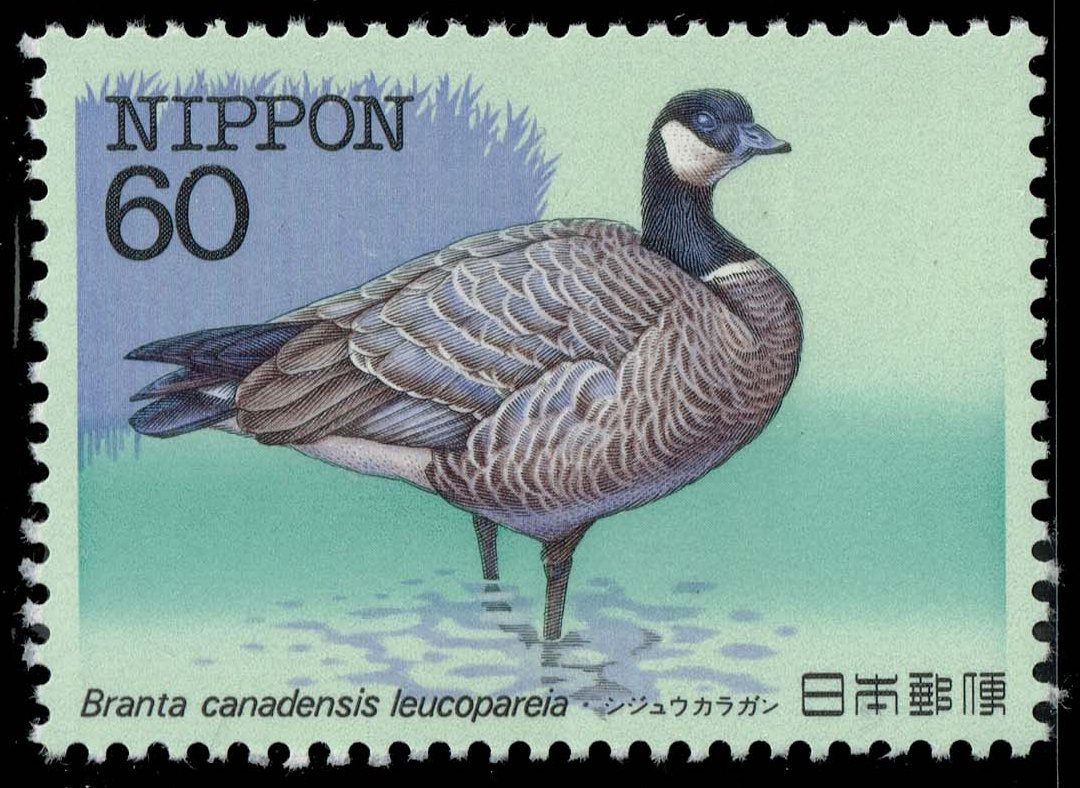 Japan #1537 Aleutian Cackling Goose; MNH