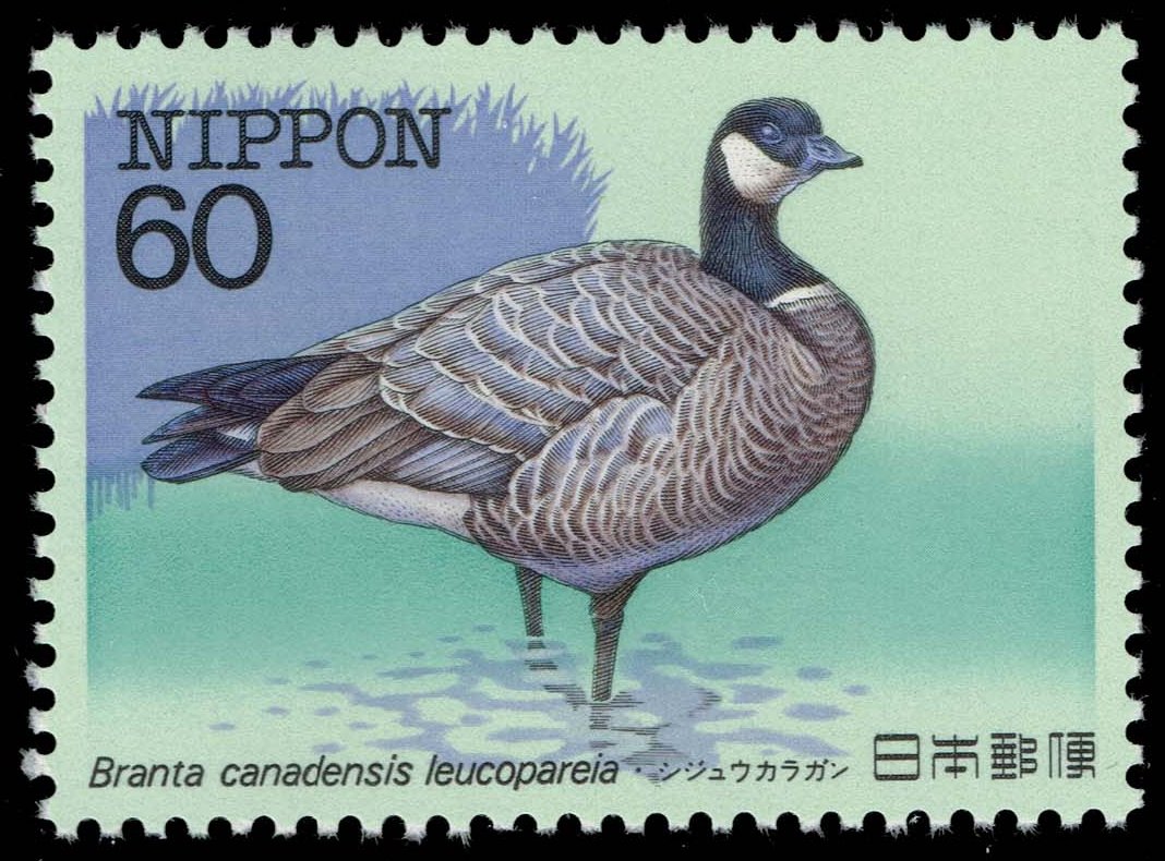 Japan #1537 Aleutian Cackling Goose; MNH