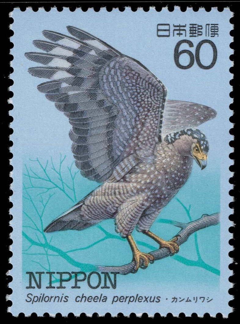 Japan #1539 Ryukyu Serpent Eagle; MNH