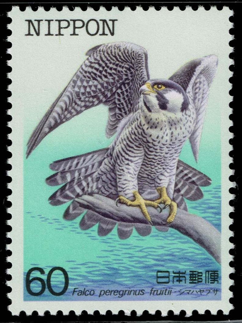 Japan #1542 Peregrine Falcon; MNH