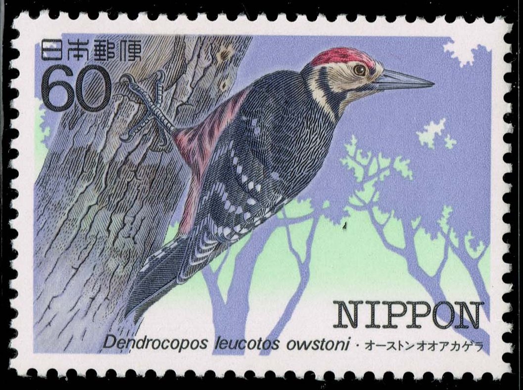 Japan #1543 White-backed Woodpecker; MNH