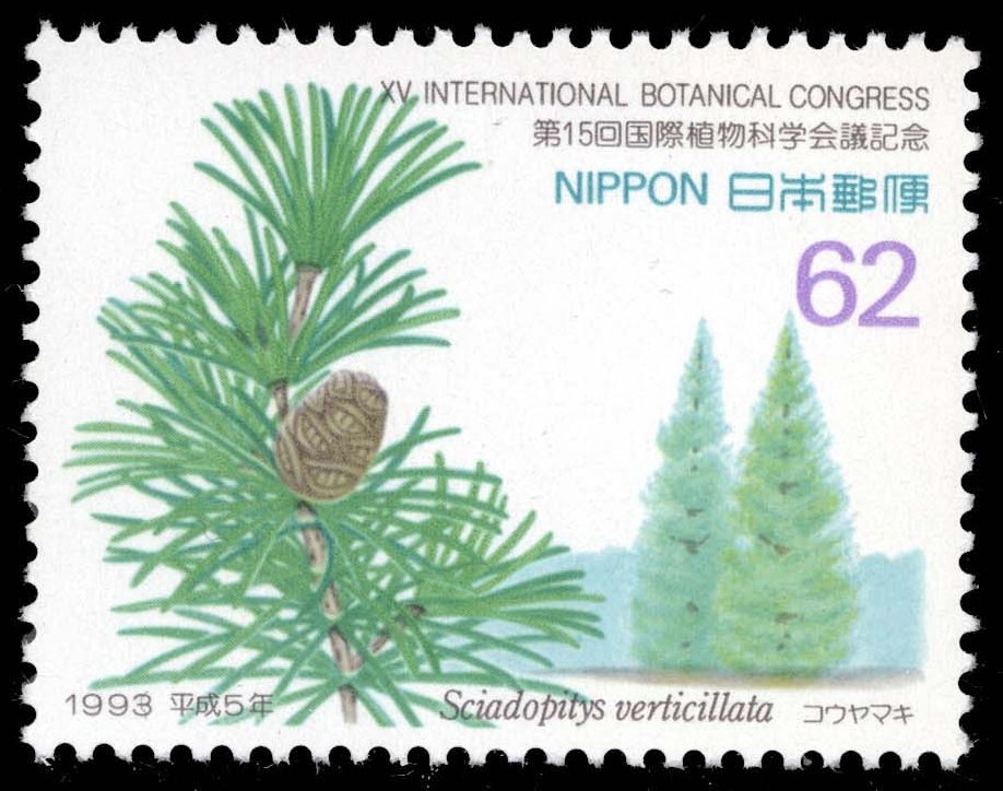 Japan #2207 Japanese Umbrella Pine; MNH
