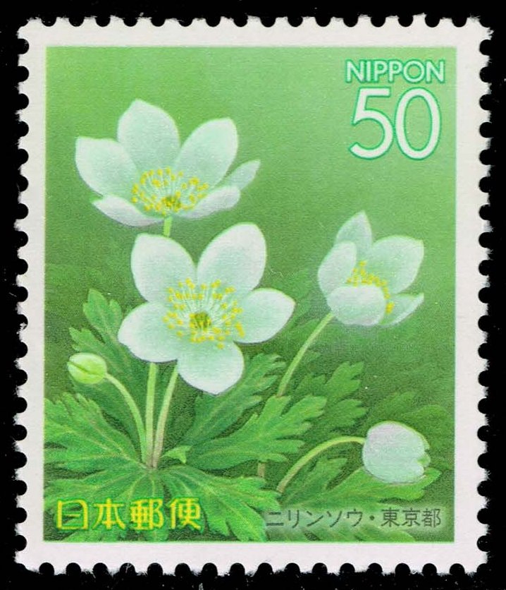 Japan #Z634 Wildflower; MNH