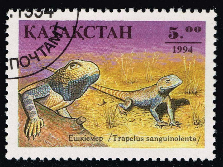 Kazakhstan #87 Steppe Agama; CTO