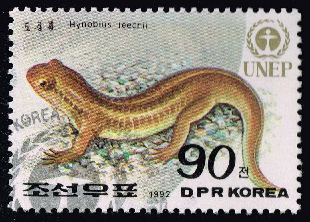 Korea-DPRK #3149 Korean Salamander; CTO