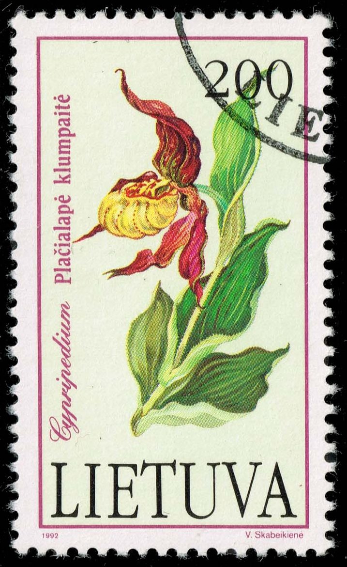 Lithuania #425 Slipper Orchid; Used