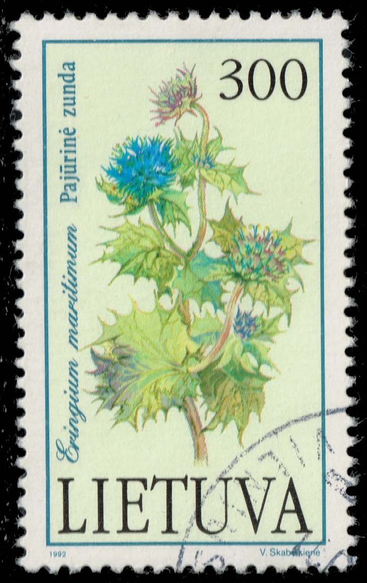 Lithuania #426 See Holly; Used