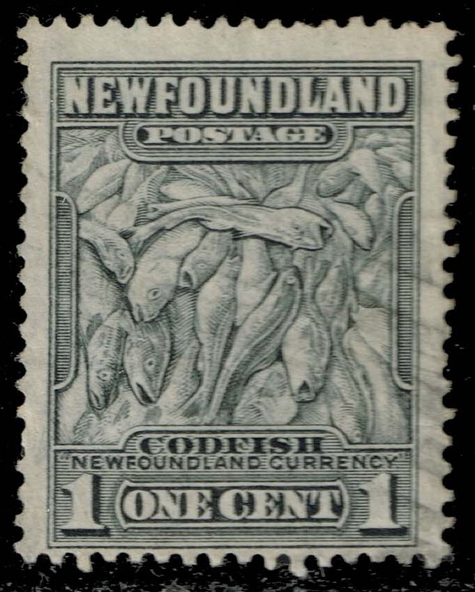 Newfoundland #184 Codfish; Used