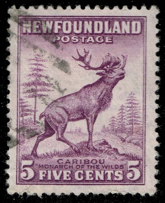 Newfoundland #191a Caribou; Used