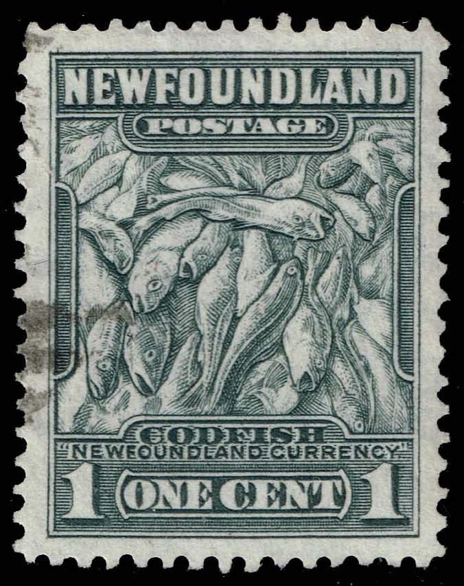 Newfoundland #253 Codfish; Used