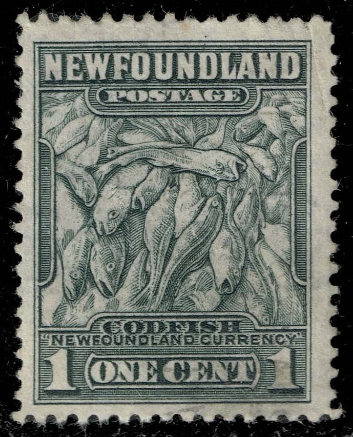 Newfoundland #253 Codfish; Used