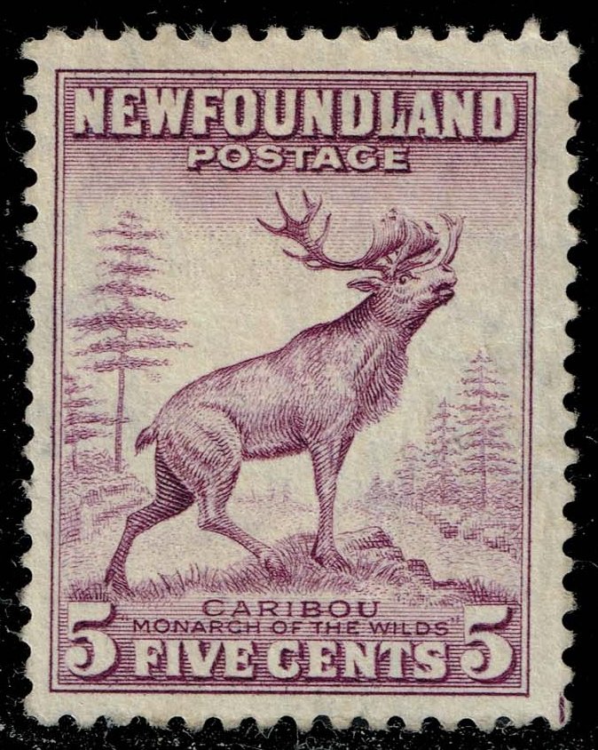 Newfoundland #257 Caribou; Unused No Gum - Click Image to Close