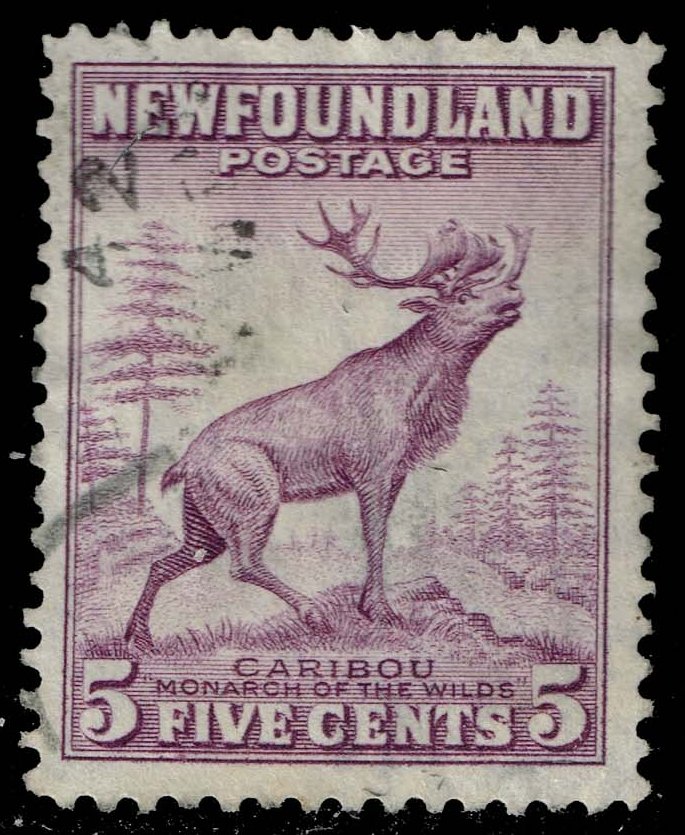 Newfoundland #257 Caribou; Used