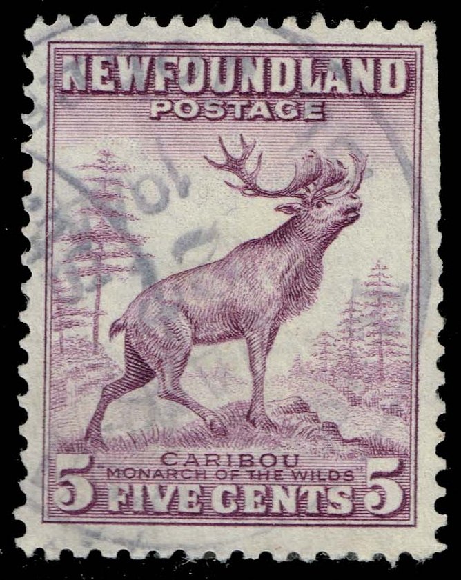 Newfoundland #257 Caribou; Used