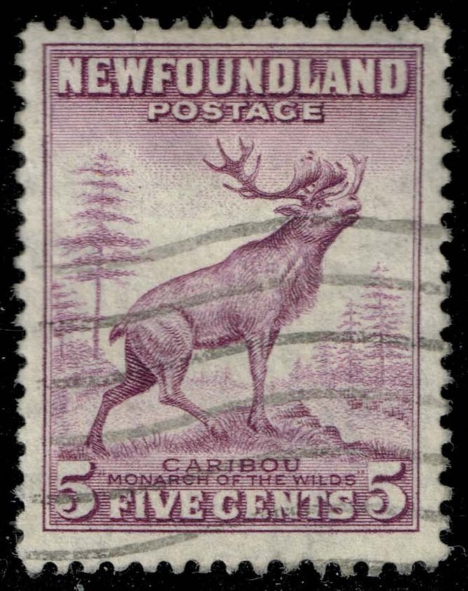 Newfoundland #257 Caribou; Used