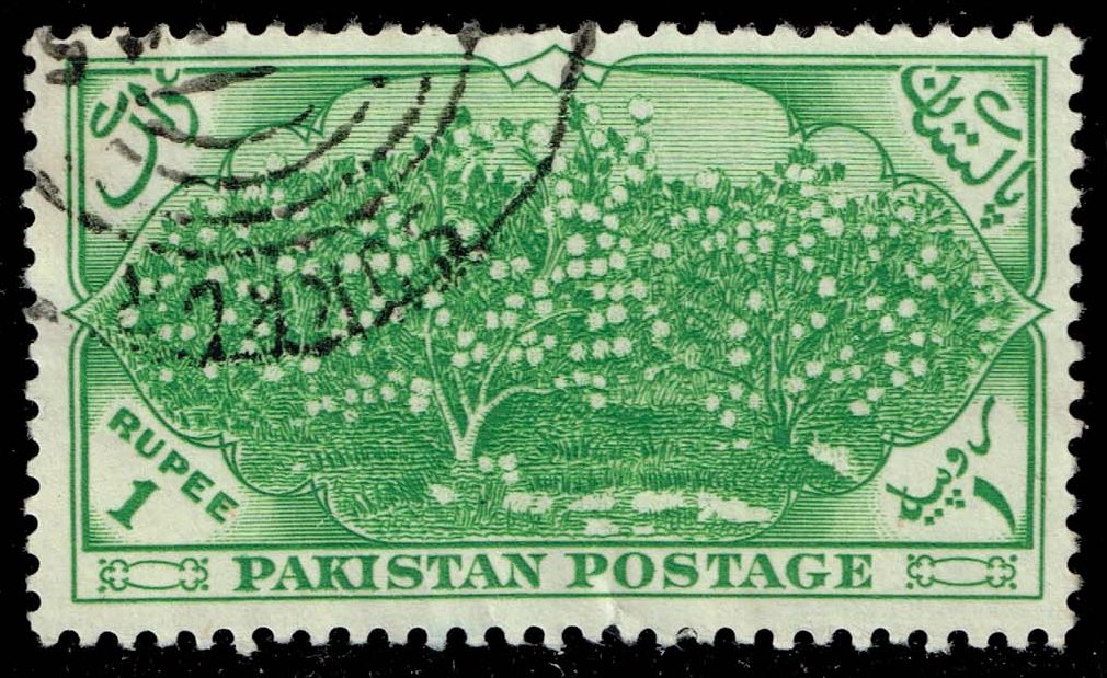 Pakistan #71 Cotton Field; Used - Click Image to Close