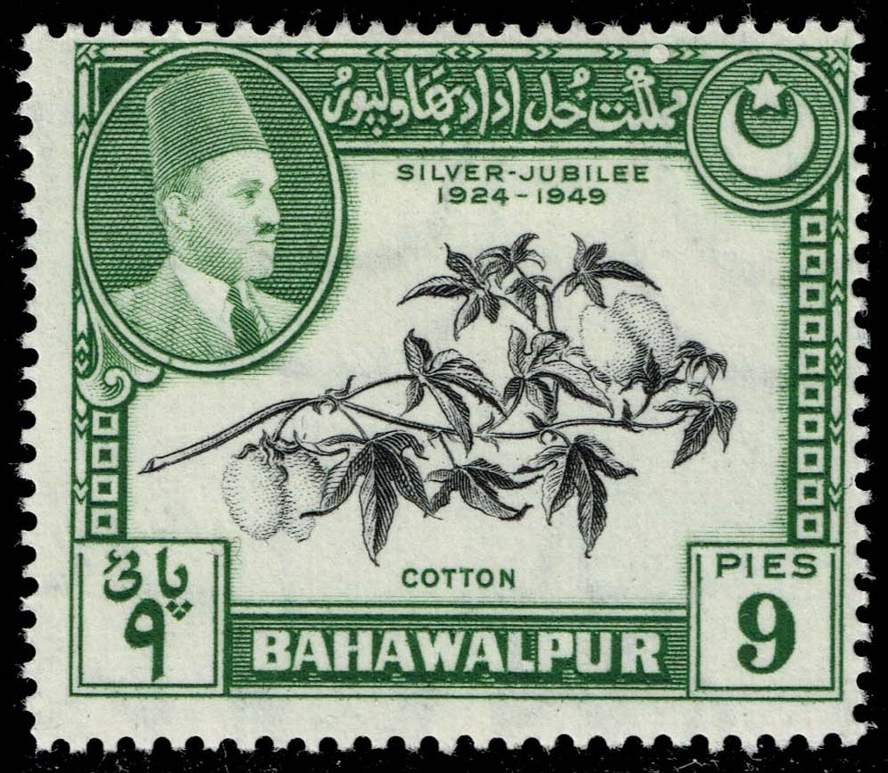Pakistan-Bahawalpur #24 Cotton; Unused