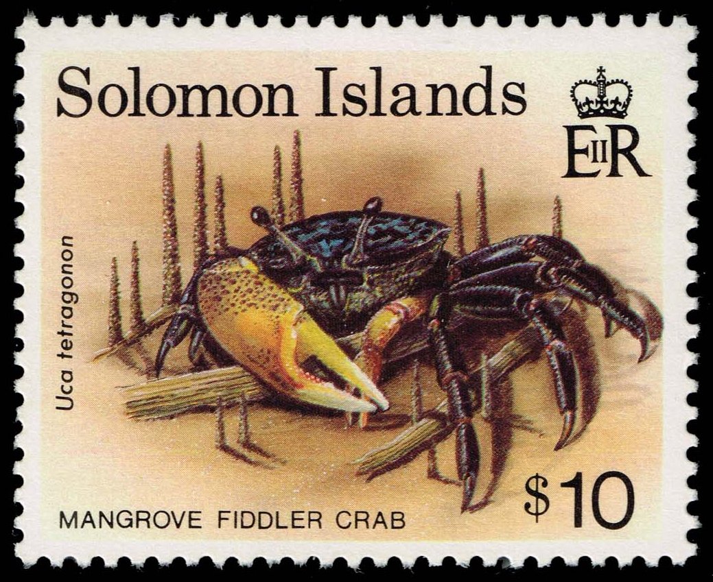 Solomon Islands #747 Fiddler Crab; MNH