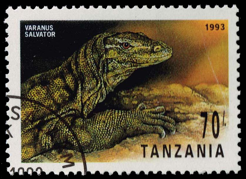 Tanzania #1130 Water Monitor; CTO